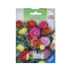 BUSTA DI SEMENTI FIORI PORTULACA GRANDIFLORA
