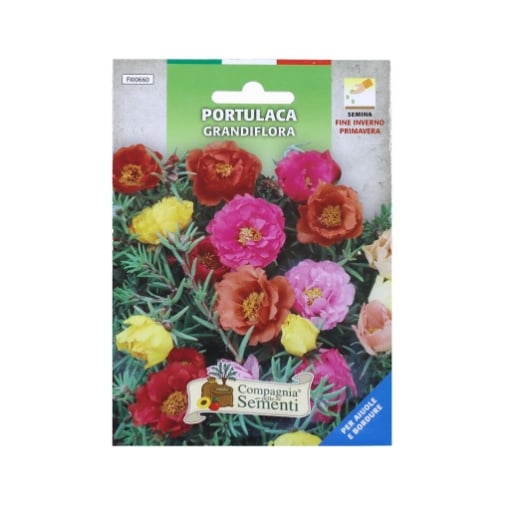 BUSTA DI SEMENTI FIORI PORTULACA GRANDIFLORA