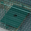 Trappola grande a scatto per uccelli larga 100 cm, con gabbia per esche  Zielonalapka