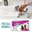 MAURY'S PET SALVIETTE DETERGENTI PER ANIMALI 40PZ