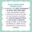 ACQUA ALLE ROSE GEL ESFOLIANTE QUOTIDIANO PURIFICANTE PER PELLI NORMALI E MISTE 150 ML OKX