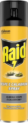 RAID INSETTICIDA SPRAY ELIMINA VESPE E CALABRONI PER USO INTERNO AZIONE RAPIDA PER SPRUZZO DIRETTO 400 ML OKX