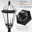 SET 2 LAMPIONI SOLARI PER GIARDINO CON 2 LED E ACCENSIONE AUTOMATICA, NERO