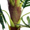 PIANTA ARTIFICIALE PALMA CYCAS ALTA 123CM PER INTERNO ED ESTERNO CON VASO INCLUSO