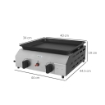 PIASTRA BARBECUE A GAS CON 2 BRUCIATORI, PIANO ANTIADERENTE E POTENZA 4.8KW, ARGENTO