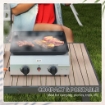 PIASTRA BARBECUE A GAS CON 2 BRUCIATORI, PIANO ANTIADERENTE E POTENZA 4.8KW, ARGENTO