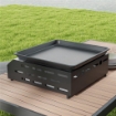 PIASTRA BARBECUE A GAS CON 2 BRUCIATORI, PIANO ANTIADERENTE E POTENZA 4.8KW, ARGENTO