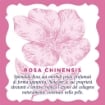 ACQUA ALLE ROSE LATTE DETERGENTE LENITIVO CON ESTRATTO DI ROSA CHINENSIS, IDEALE PER LE PELLI SECCHE O SENSIBILI 200 ML