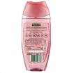 PALMOLIVE BAGNOSCHIUMA THERMAL SPA SILKY OIL 220 ML