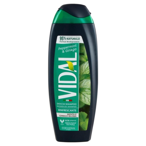 VIDAL DOCCIA SCHIUMA 250 ML PER CORPO E CAPELLI MINT & GINKGO