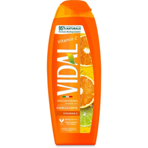 VIDAL DOCCIA SCHIUMA 250 ML PER CORPO CON VITAMINA C