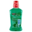 COLGATE COLLUTORIO PLAX SOFT MINT CON ANTIBATTERICO 500 ML