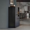 VETRINA CREDENZA ALCE 2 ANTE COLORE NERO CON PARTICOLARI ORO