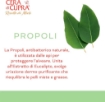 CERA DI CUPRA CREMA IDRATANTE OPACIZZANTE PELLI MISTE O GRASSE 50 ML OKX