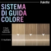 SCHWARZKOPF PALETTE METALLIC COLLECTION 9-53 BIONDO ARGENTATO CON EFFETTO METALLICO COLORE BIONDO