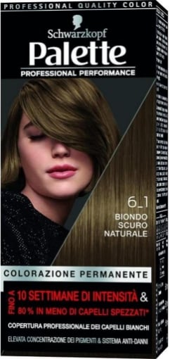 SCHWARZKOPF PALETTE TINTA PER CAPELLI COPERTURA DEI CAPELLI BIANCHI SISTEMA ANTI-DANNI 6.1 BIONDO SCURO NATURALE 