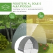 RECINTO PER GALLINE IN ACCIAIO PER 14-18 ANIMALI CON PORTA BLOCCABILE, 3X5.6X2.2 M, ARGENTO