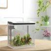 ACQUARIO DA 13L A ILLUMINAZIONE LED CON FORI DI VENTILAZIONE, IN VETRO HD E ABS, 29L X 20P X 30.5A CM