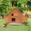 POLLAIO DA GIARDINO GABBIA PER GALLINE IN ABETE, LEGNO E VERDE, 160X98.5X107CM