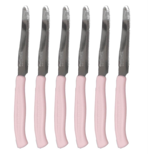 COLTELLI DA TAVOLA SET DA 6 PZ IN COLORAZIONE ROSA POLVERE