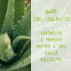 OMIA MASCHERA PER CAPELL CON ALOE VERA DEL SALENTO IDRATANTE E ILLUMINANTE PER CAPELLI SECCHI 250 ML OKX