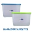 BOX GAIA GRIGIO CON TAPPO COLORATO 40X30X25 CM CONTENITORE MULTIUSO COLORE ASSORTITO OKX