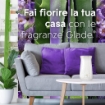 GLADE SENSE & SPRAY DEODORANTE PER AMBIENTI CON SENSORE DI MOVIMENTO FRAGRANZA LAVANDA 2 X 18 ML OKX