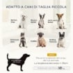 DIVANO PER CANI E GATTI DA INTERNI DI TAGLIA PICCOLA, GRIGIO CHIARO