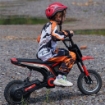 MOTO ELETTRICA PER BAMBINI CON ACCELERATORE MANUALE, 2 VELOCITÀ 8-16KM/H, ETÀ 8-12 ANNI, ROSSO