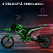 MOTO ELETTRICA PER BAMBINI CON ACCELERATORE MANUALE, 2 VELOCITÓ 8-16KM/H, ETÀ 8-12 ANNI, VERDE