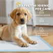 SET 100 TAPPETINI IGIENICI PER CANI A 6 STRATI IN TESSUTO NON TESSUTO, CARTA E PE, 45X30 CM, BLU E BIANCO