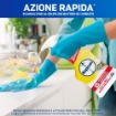 NAPISAN SPRAY 740 ML SGRASSATORE DISINFETTANTE SUPERFICI AL LIMONE ANTI BATTERI E VIRUS AZIONE RAPIDA