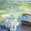 MAURY'S SET 6 BICCHIERI IN VETRO PER ACQUA DESIGN PESCI