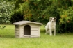 BAMA CUCCIA BUNGALOW PER ANIMALI CANE GATTO 110 X 94 X 77 CM LARGE BEIGE 