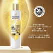 PANTENE BOND REPAIR SHAMPOO CON BIOTINA 250 ML FORMULA PRO-V CONCENTRATA PER CAPELLI DANNEGGIATI PROTEGGE OKX