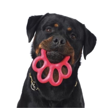 GIOCO PER CANI ORMA A FORMA DI ZAMPA  PORTAGUINZAGLI