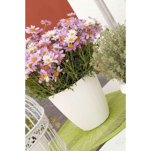 Portavaso Liberty 16 In Plastica Effetto Rattan - Antracite, 16x16x15 Cm, Per Interni Ed Esterni - 2
