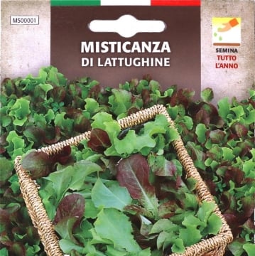 BUSTA SEMENTI MISTICANZA DI LATTUGHINE 