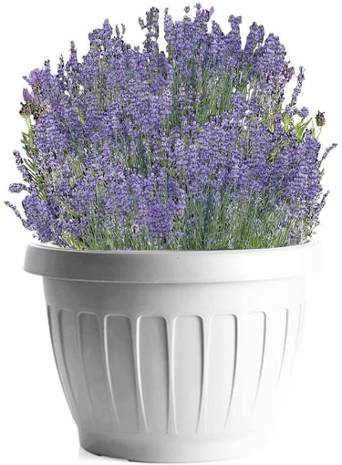 Vaso Terra Quadro Grigio 30x30cm 31400