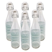 SET PORTA BOTTIGLIE IN PLASTICA + 6 BOTTIGLIE IN VETRO DA 1 LT