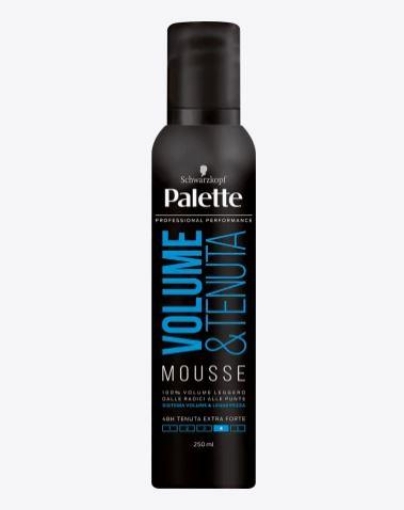 PALETTE STYLING MOUSSE SPUMA TENUTA E VOLUME 250 ML 