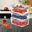 MA MAISON SET 3 CONTENITORE WEEKLY FRESH RETTANGOLARI 1,2 LT COPERCHI SALVAFRESCHEZZA E INDICATORE GIORNO DELLA SETTIMANA 