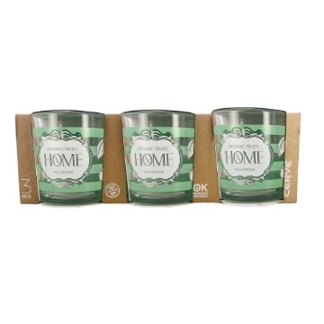 BICCHIERE SEASON CON FANTASIA E SCRITTA HOME IN COLORAZIONE VERDE 3PZ OKX