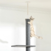 ALBERO TIRAGRAFFI PER GATTI A 4 LIVELLI CON ALTEZZA REGOLABILE GRIGIO 43X27X228-260 CM