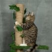 ALBERO TIRAGRAFFI PER GATTI A SOFFITTO ALTO 202-242 CM REGOLABILE CON ASTA DI TENSIONE VERDE