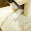 ALBERO PER GATTI A 3 LIVELLI CON TIRAGRAFFI PELUCHE E SISAL 40X35X72 CM CREMA