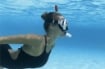 BESTWAY SET SNORKELING DOMINATOR PRO MASCHERA CON BOCCAGLIO DAI 14 ANNI + LENTI ANTIGRAFFIO IN VETRO TEMPERATO COLORE ASSORTITO 