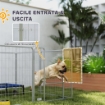 Recinto per Cani a 8 Pannelli Modulabili Pieghevole con Porta in Acciaio, Altezza 80 cm, Argento