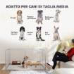 Recinto per Cani a 8 Pannelli Modulabili Pieghevole con Porta in Acciaio, Altezza 80 cm, Argento