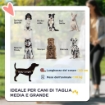 PASSEGGINO PER CANI PIEGHEVOLE CON INGRESSI A CERNIERA E FINESTRE A RETE, 112X65X100 CM, ROSSO E NERO